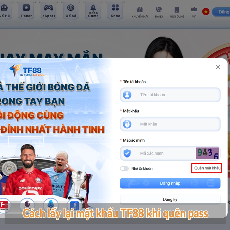 Cách lấy lại mật khẩu TF88 khi quên pass